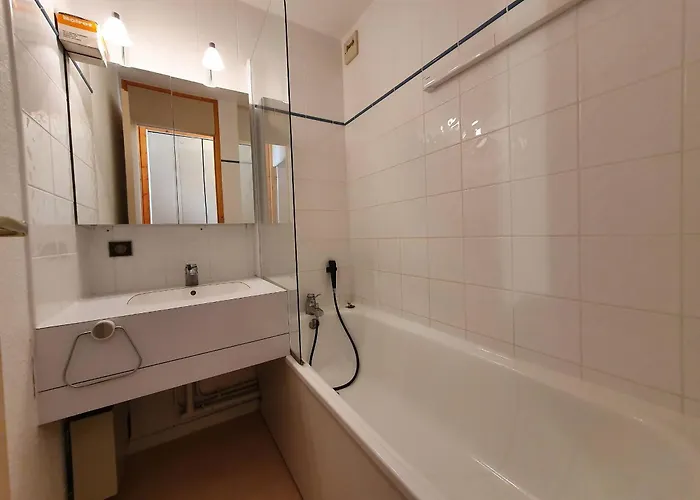 2 Pieces Pour 4 A La Plagne, Animaux Admis - Fr-1-353-19 La Plagne